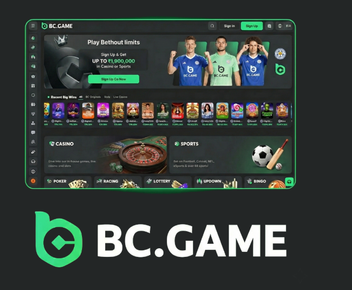 Explore BC.Game Casino and Sportsbook A New Era of Online Gaming